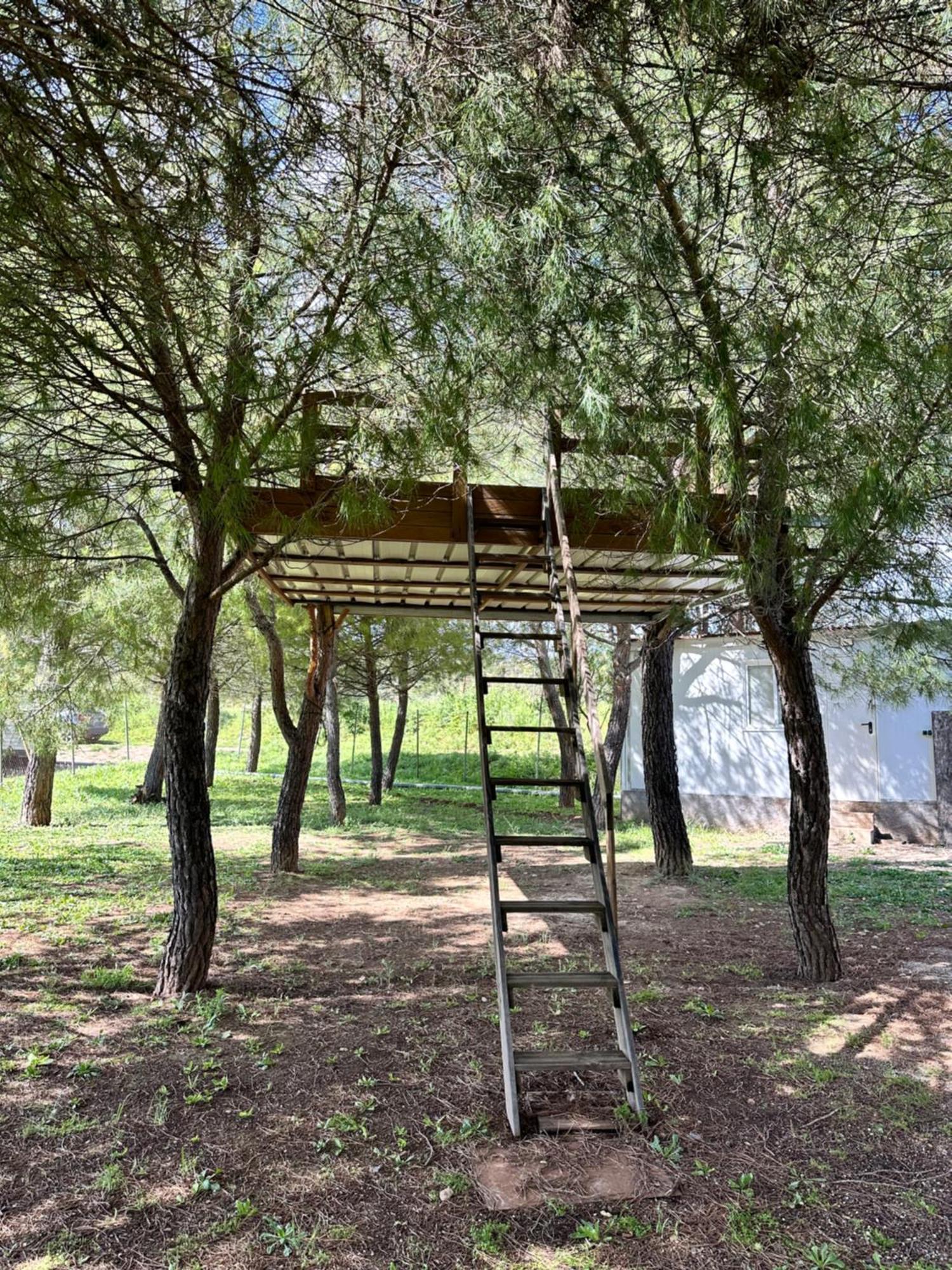 Bungalow Bambolera Torrelaguna المظهر الخارجي الصورة