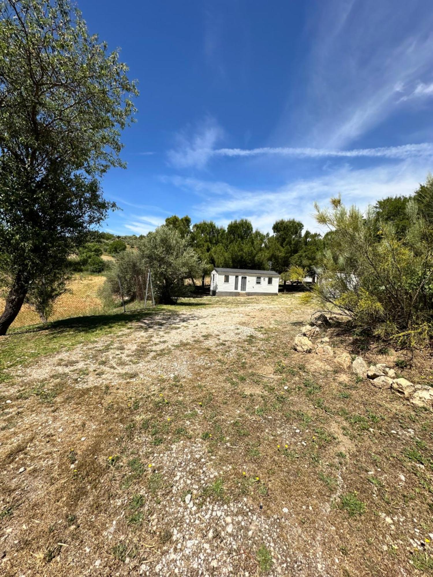 Bungalow Bambolera Torrelaguna المظهر الخارجي الصورة
