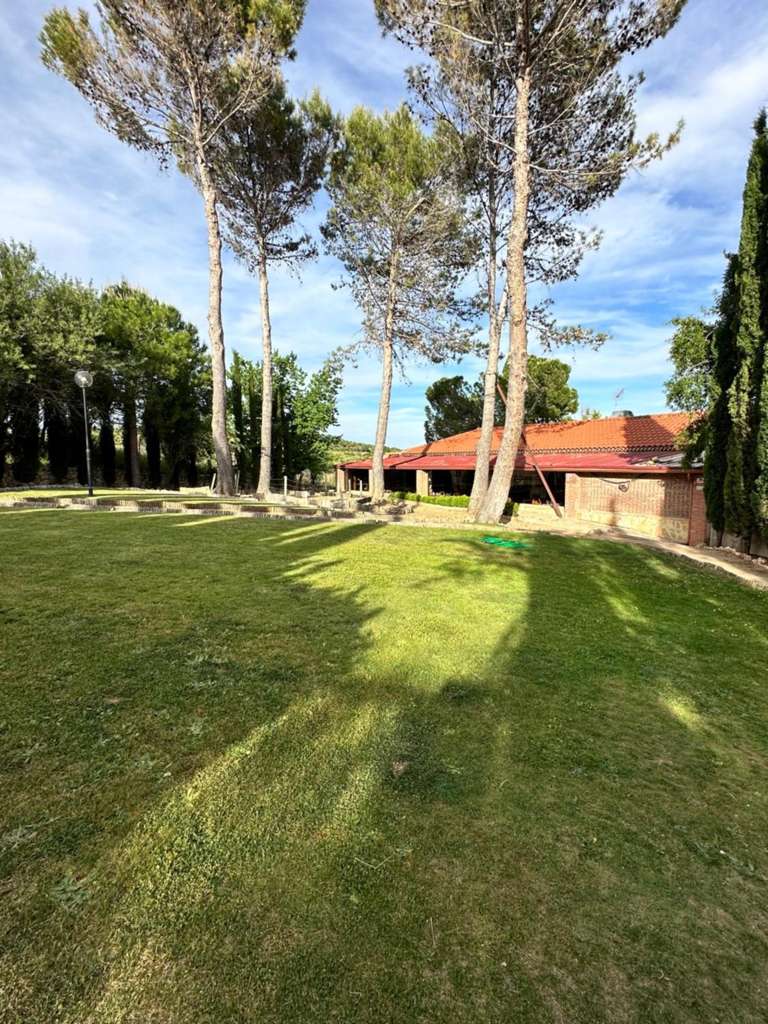 Bungalow Bambolera Torrelaguna المظهر الخارجي الصورة