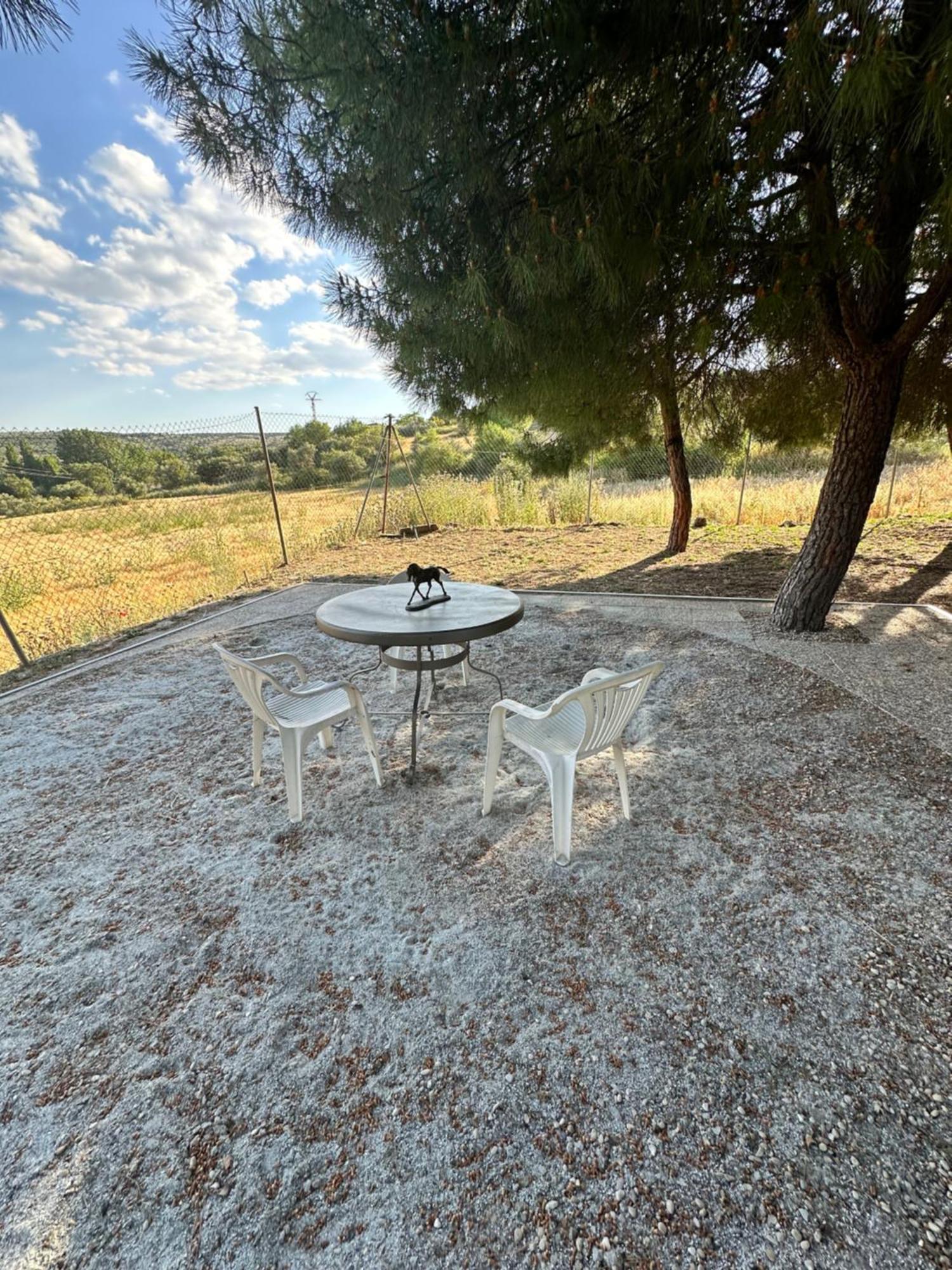 Bungalow Bambolera Torrelaguna المظهر الخارجي الصورة